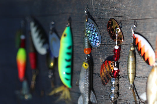 What attracts a fish to a lure?