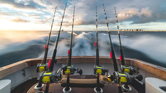 What are the four types of fishing?
