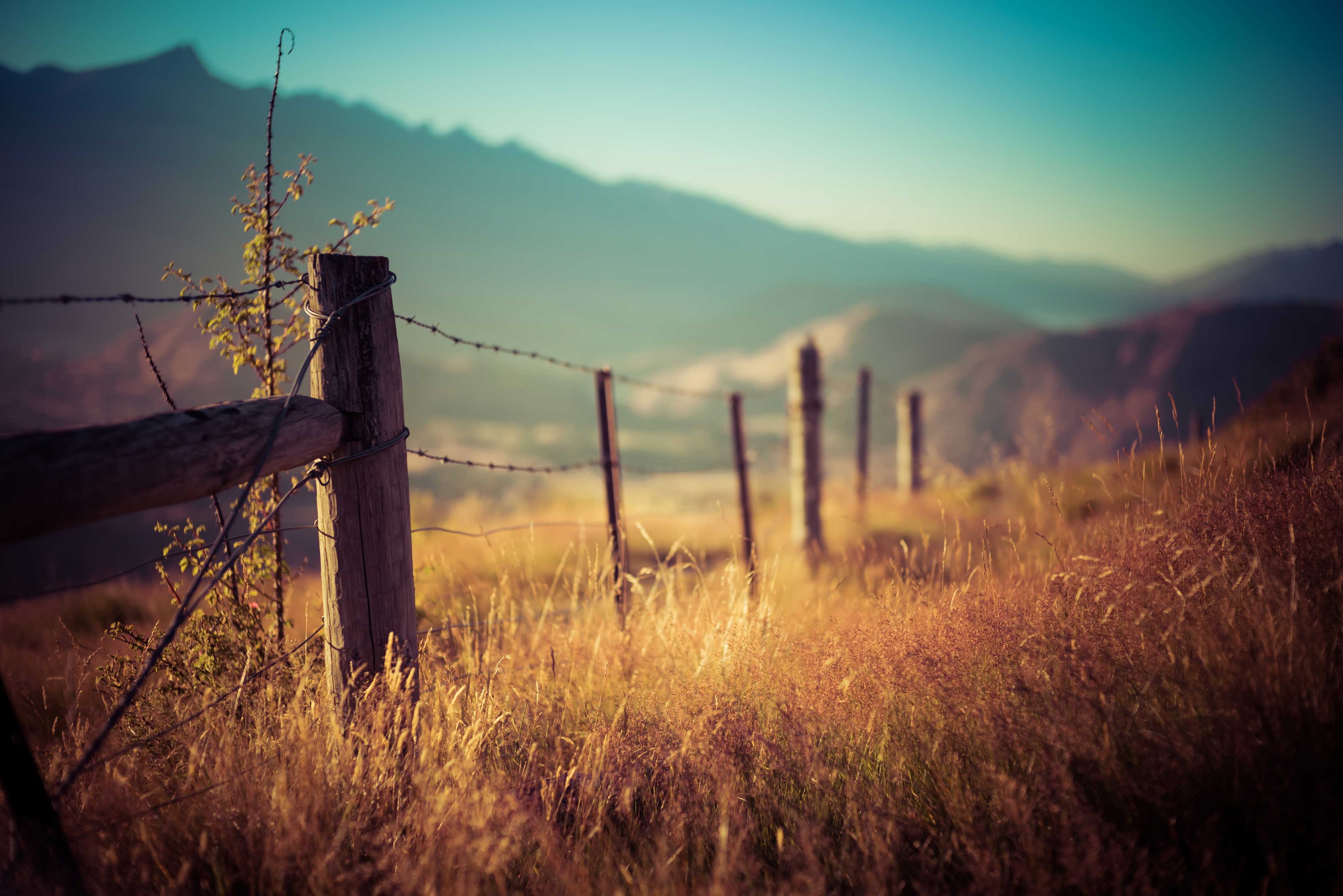 BLOG, Share outdoor hunting knowledge and kayaks knowlegdge with you