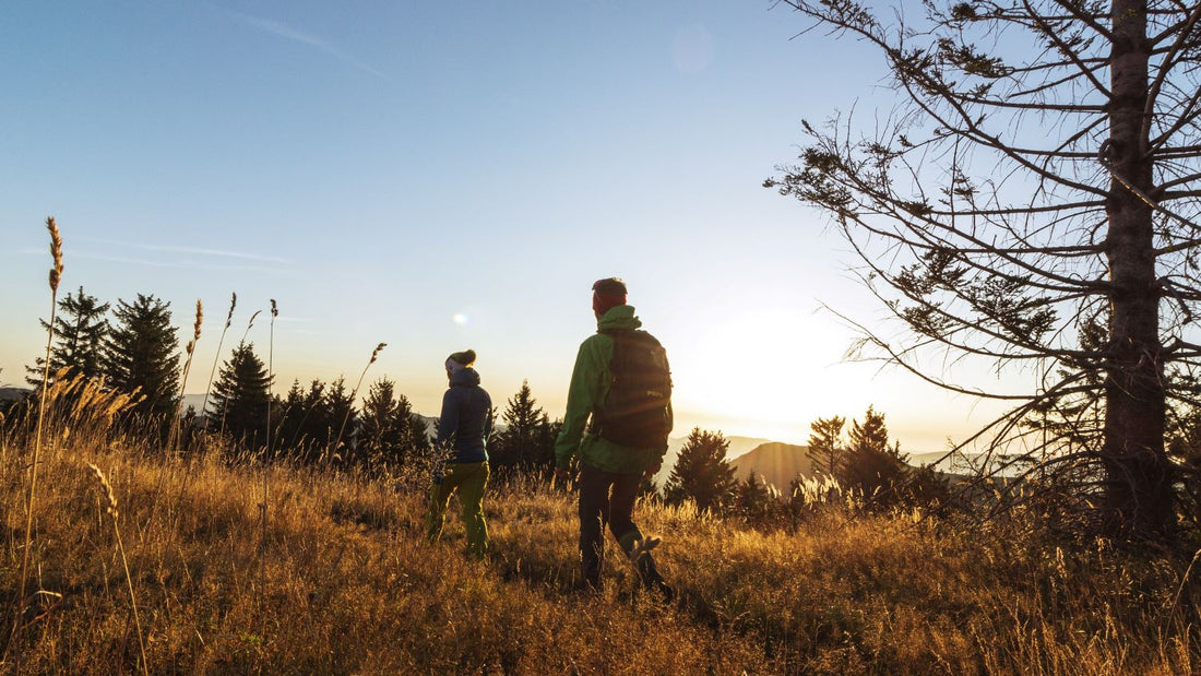 What should hunters do during the off-season